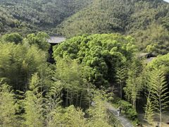 景点-大唐贡茶院