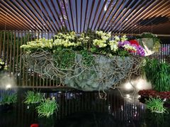 -海心沙亚运公园