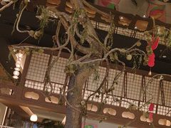 -桂满陇·海市蜃楼·黑金(国金店)