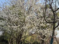 -梁鸿国家湿地公园