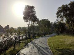 -月湖风景区