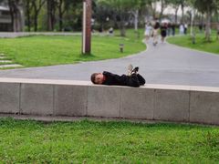 -宝安西湾红树林湿地公园