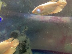 -常州海昌海洋探索馆