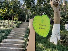 -杭州少年儿童公园