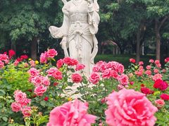 -丰台花园