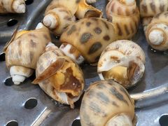 -海大大蒸汽海鲜餐厅·粤菜·特色小炒(欢乐颂店)