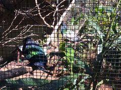 -费瑟代尔野生动物园