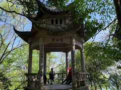 -岣嵝峰国家森林公园