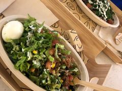 -油梨树 AVOCADO TREE(亮马桥店)