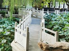 -莲湖公园