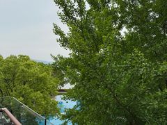 -逸廊大堂吧-下午茶·简餐-千岛湖自由洲际殿