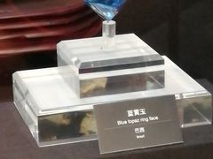 -烟台自然博物馆