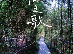 -竹子庵公园