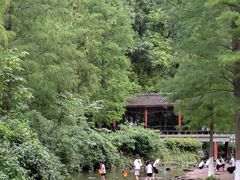 -重庆彩云湖湿地公园