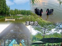 -森波拉奇妙世界