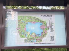 -莲花池公园