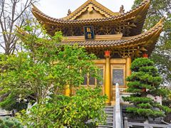 -上海东林寺(金山区)