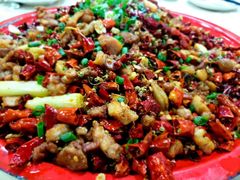 -东吴霸王兔(松青路店)