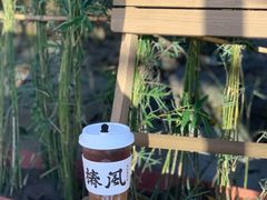 -椿风·养身茶饮(吉大店)