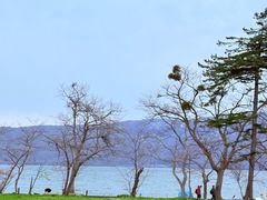 -居酒屋弁慶 十和田湖畔休屋店