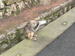 -黔灵山公园