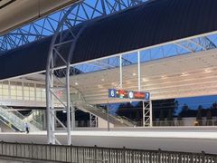 -仙螺岛海鲜自助餐厅(总店)