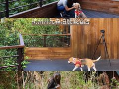 -杭州开元森泊度假乐园