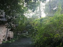 -杭州少年儿童公园