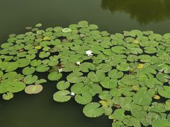 -哈尔滨太平湖温泉酒店
