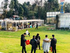 -三圣花乡旅游区