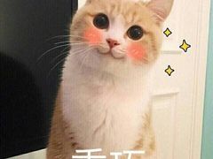 -赛百味(仙林金鹰店)