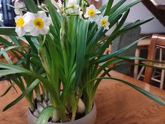 -1901 Cafe(西四店)