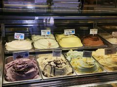 -Dooley's Premium Ice Cream