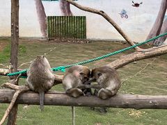 -西霞口神雕山野生动物世界