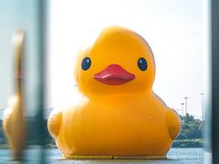 -深圳人才公园