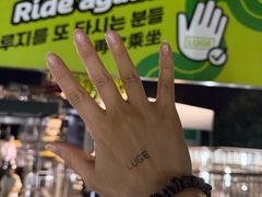 -圣淘沙天际线斜坡滑车