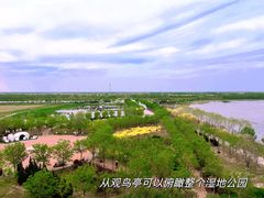 -南大港湿地风景区