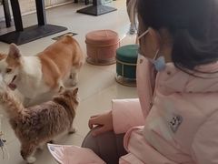 -平行世界·猫咖(首经贸店)