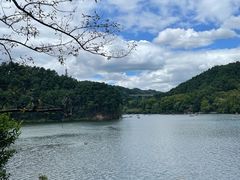 -黔灵山公园