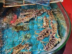 -海大大蒸汽海鲜餐厅·粤菜·特色小炒(欢乐颂店)
