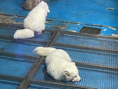 -泉城欧乐堡海洋极地世界