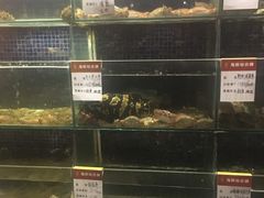 水产区-吕氏疙瘩汤·私家菜馆(慈云寺店)