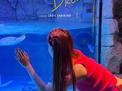 -沈阳海洋探索中心