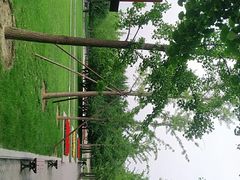 -大望京公园