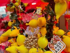 -越秀西湖花市(广州城市广场花卉店)