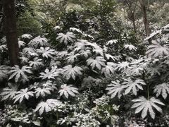 -天目湖涵田半山温泉