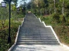 -神光山国家森林公园