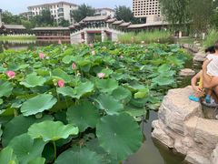 -西海子公园