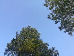 -成都中医药大学(温江校区)