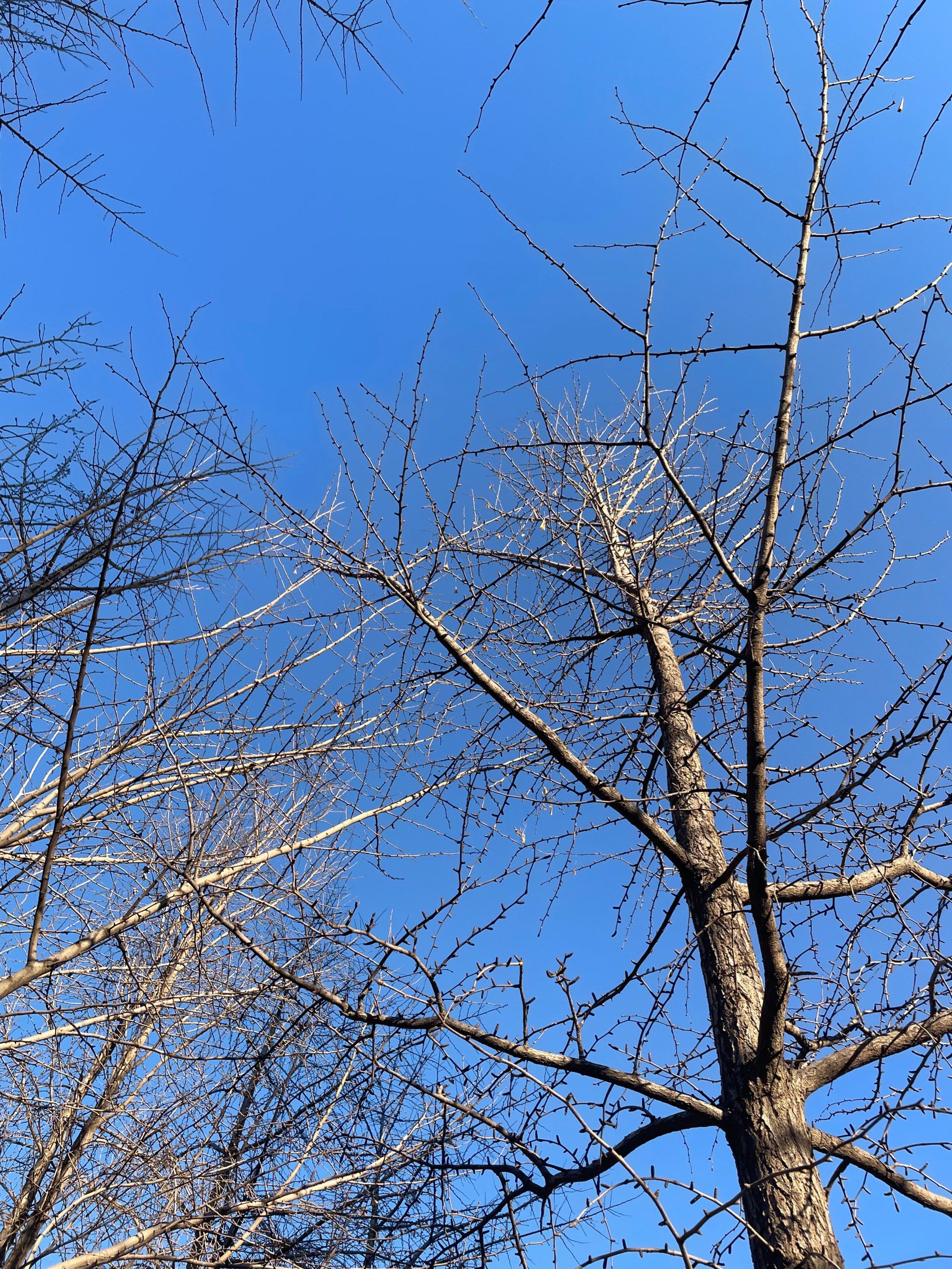 冬天为什么刮北风的原因为什么在线 冬天为什么刮北风的原因为什么在线